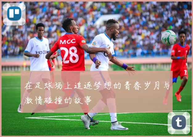 在足球场上追逐梦想的青春岁月与激情碰撞的故事