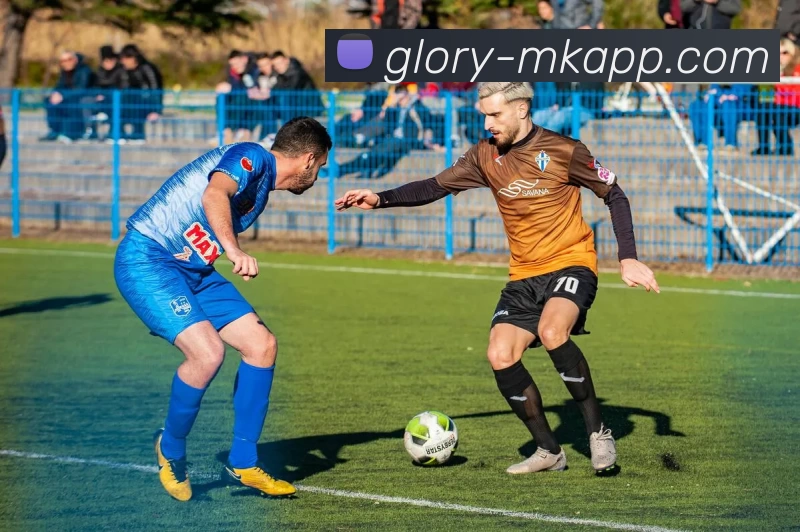 MK体育APP 高清赛事图